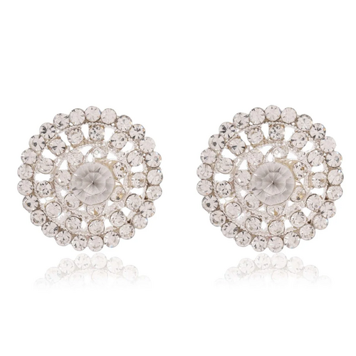 Studded Drop Earrings